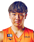山形飞龙