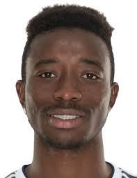 查尔斯顿电池