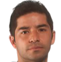 科尔多瓦美洲虎